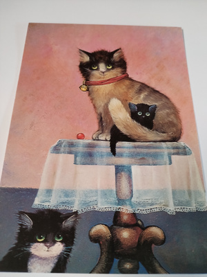 Kissa kortti,kulkematon.