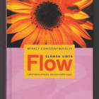 Mihaly Csikszentmihalyi: Flow - Elämän virta - pikkukuva 1