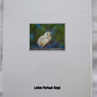 Luonnon lastenkamari - pikkukuva 3