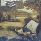 OPIUM WARLORDS - TASTE MY SWORD OF UNDERSTANDING - UUSI 2LP - pikkukuva 2