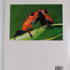Andrew Cleave : Curious Creatures : A Portrait of the Ani... - pikkukuva 2