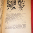 Sakeus Juuri - Oja : Naamioimiskoulu  1923 1.p. - pikkukuva 3