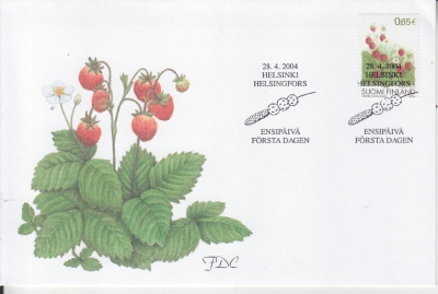 FDC 2004 ahomansikka.