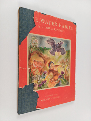 Charles Kingsley : The water-babies