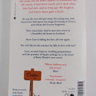 Katie Fforde : A rose petal summer - pikkukuva 2