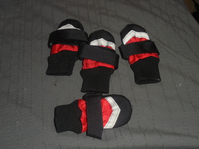 Pienen koiran tossut. TALVI TULEE ja KYLMÄ