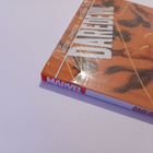 Daredevil Season One HC - pikkukuva 4