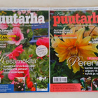 KOTIPUUTARHA 2012 7 KPL - pikkukuva 2
