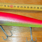 Nils Master Invincible 25CM 1 - pikkukuva 1