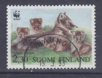 1993 Naali loistoleimaisena