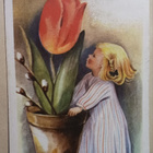 Pienenpieni tyttö joulukukka-asetelman vieressä, p. 1948 - pikkukuva 1