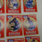 MAAILMANMESTARI 1995 ,KARJALA -VAHVASTI SUOMALINEN - pikkukuva 3