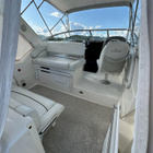 Bayliner 2855 ciera - pikkukuva 5