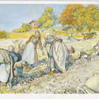 kortti Larsson Carl ** Maaseudun elämää - erilaisia - pikkukuva 4