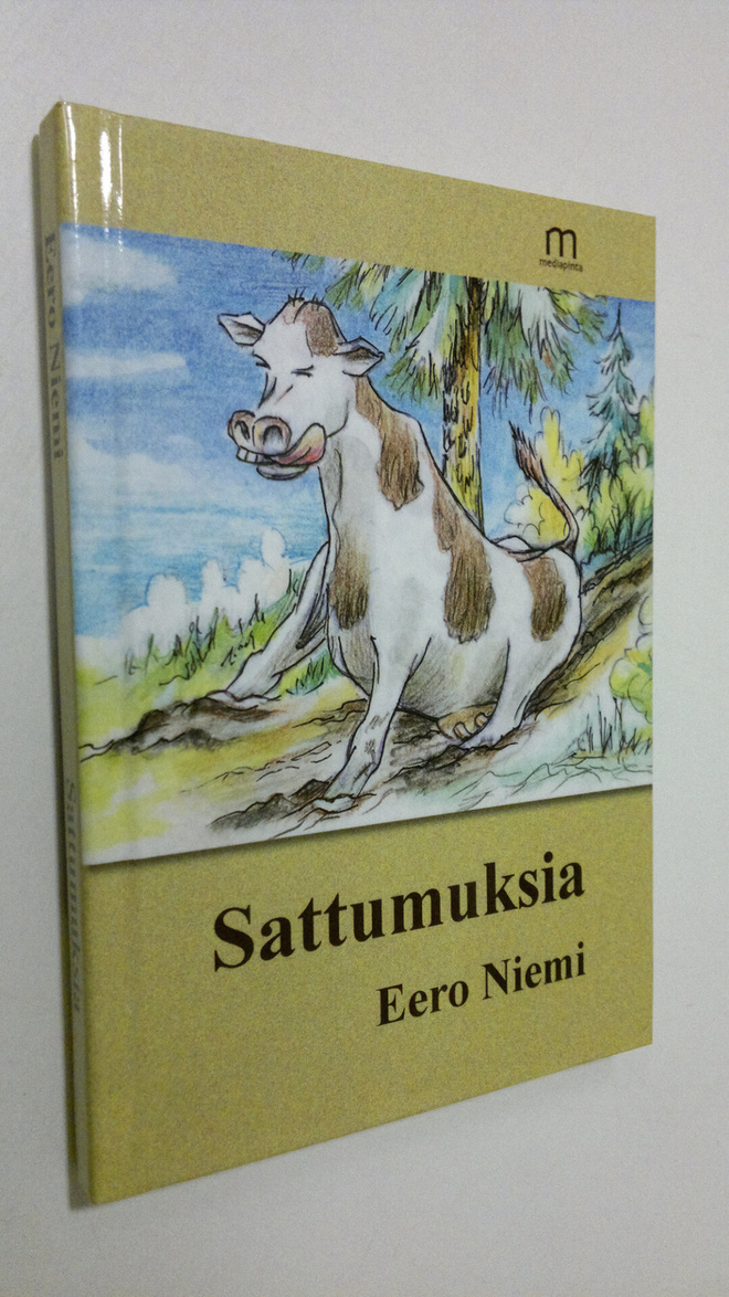 Eero Niemi : Sattumuksia : kirjoituskokoelma