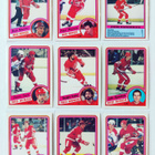 84-85 Opc - Detroit Red Wings 15kpl - pikkukuva 1