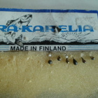 Erä-Karelia morreja 6 kpl - pikkukuva 1