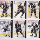 Cardset kortteja kausilta 2012 - 2016 0.20 EUR/kpl - pikkukuva 1