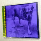 Alice in Chains "1995" Violetti CD-kotelo alkuperäinen USA - pikkukuva 1