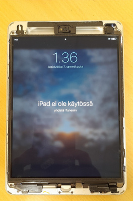 Ipad Mini2