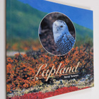 Reino Turunen : Lapland (signeerattu) - pikkukuva 1