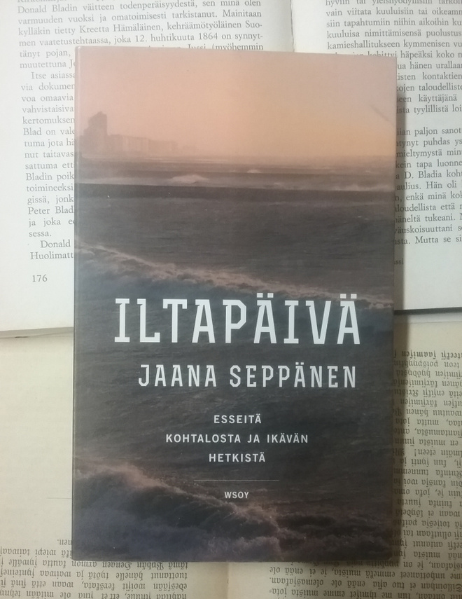 Jaana Seppänen - Iltapäivä (pokkari)