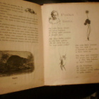 Laulan lapsille iloksi ( 1 p. 1902) Sis.pk:t - pikkukuva 3