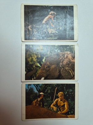 Tarzan	Jenkki	17866
