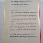 Irving Stone : Michelangelo : elämäkertaromaani - pikkukuva 2
