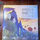 ZZ-Top Tejas lp - pikkukuva 2