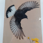 Lars Svensson ym. : Handbook of Western Palearctic Birds ... - pikkukuva 1
