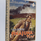 Valentin : Pikajuna 11.45 : seikkailukertomus - pikkukuva 1