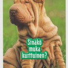 KOIRA POSTIKORTTI - SIILIN TAIDE - pikkukuva 1