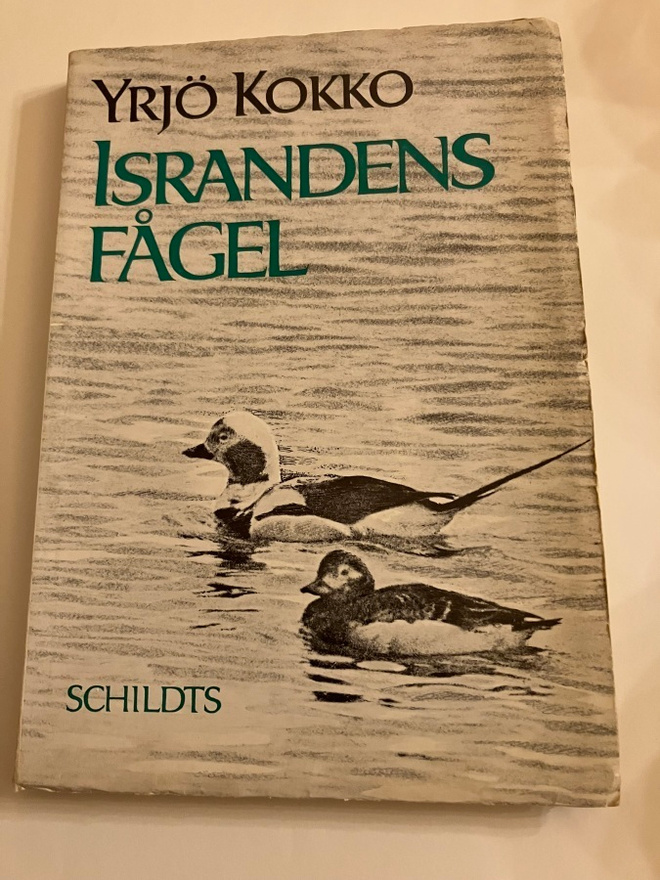 Yrjö Kokko : Israndens fågel