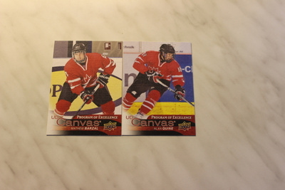 2016-17 Upper Deck UD Canvas Canada alk. 3,0e/kpl