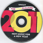 Various•2011 For Your Pleasure (New Music For A New Year) CD - pikkukuva 2
