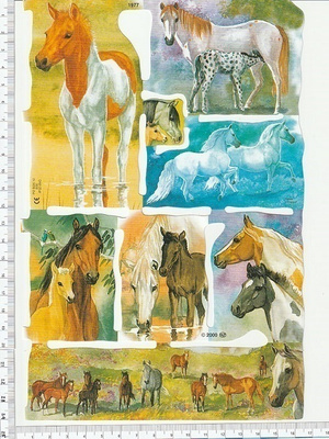 *MLP 1977, upeat hevoset-arkki *
