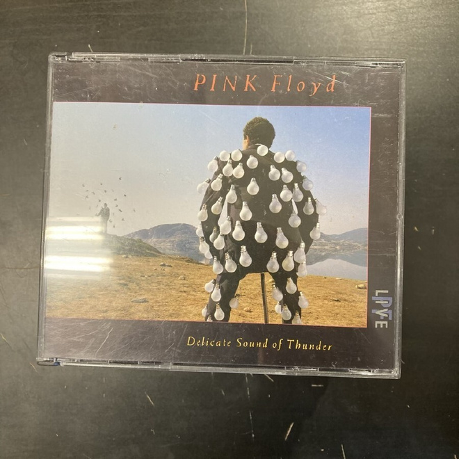 Pink Floyd - Delicate Sound Of Thunder 2CD
