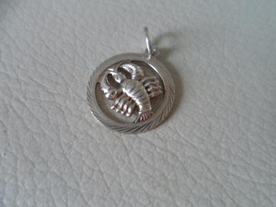 Horoskooppi riipus Hopea 835