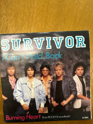 Survivor sinkku i can’t hold back