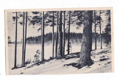 VANHA Postikortti Punkaharju 1918