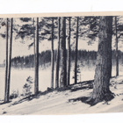 VANHA Postikortti Punkaharju 1918 - pikkukuva 1