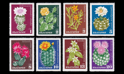 Bulgaria 1991-8 ** Kaktukset (1970)