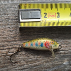 Rapala countdown! - pikkukuva 2