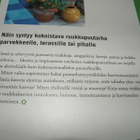 Beate Slipher Kasvata ruukuissa - pikkukuva 4