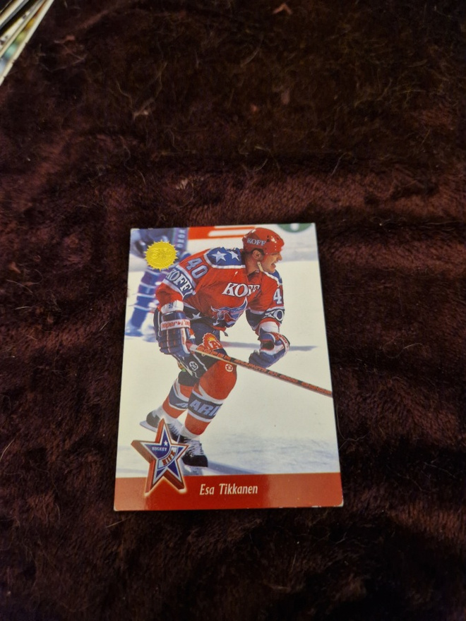 1994-95 Sisu, 276 Esa Tikkanen