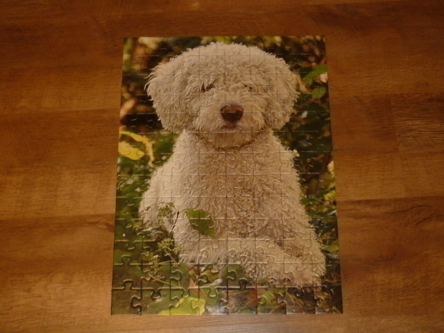 Ravensburger 100 palan palapeli espanjalainen vesikoira