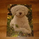Ravensburger 100 palan palapeli espanjalainen vesikoira - pikkukuva 1