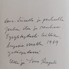 Toivo Rapeli : Maailmanmatkaaja (signeerattu, tekijän omi... - pikkukuva 3