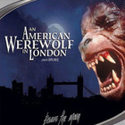 An American Werewolf in London  -  (HD DVD) - pikkukuva 1
